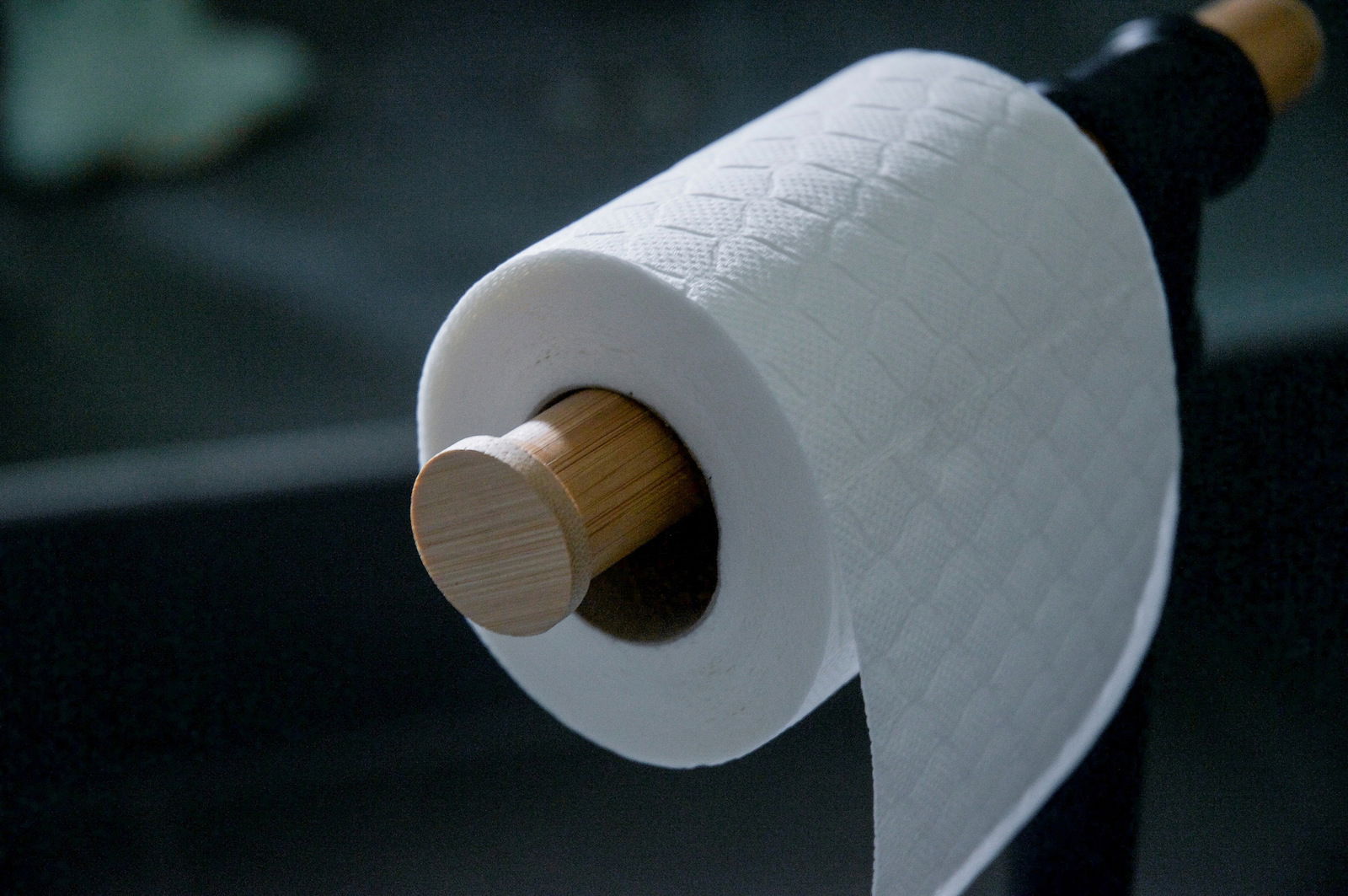 Nahaufnahme einer Toilettenpapierrolle auf einem Halter, seitliche Perspektive