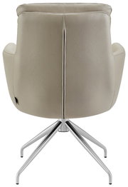 Rückansicht eines modernen Armlehnstuhls mit Metallgestell und beigem Polster.