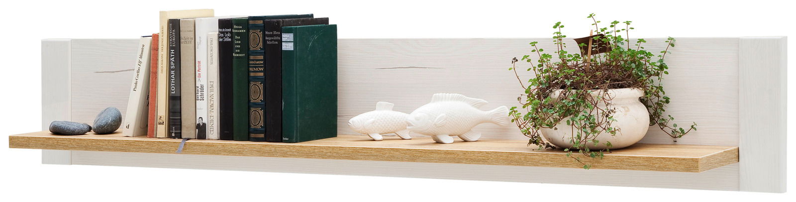 Wandboard mit Büchern, Dekorationsfischen und einer Pflanze, seitliche Perspektive