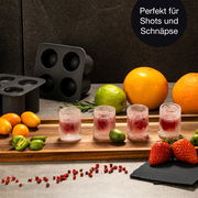 Eiswürfelform für vier runde Eisgläser, präsentiert mit gefrorenen Shotgläsern aus Eis, gefüllt mit rotem Getränk, umgeben von frischen Früchten und Gewürzen auf einem Tisch. Perspektive von vorne.