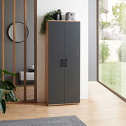 Moderner XL-Schuhschrank in dunklem Design mit Holzrahmen, frontal fotografiert, dekoriert mit Pflanzen und Boxen auf der Oberseite, in einem hellen Raum mit großen Fenstern.