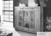 Frontale Ansicht eines Highboards aus Holz mit Glastüren und dekorativen Elementen, umgeben von Pflanzen und Dekorationen.