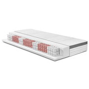 Querschnitt einer TTFK-Matratze H2 mit sichtbaren Taschenfederkernen in seitlicher Perspektive