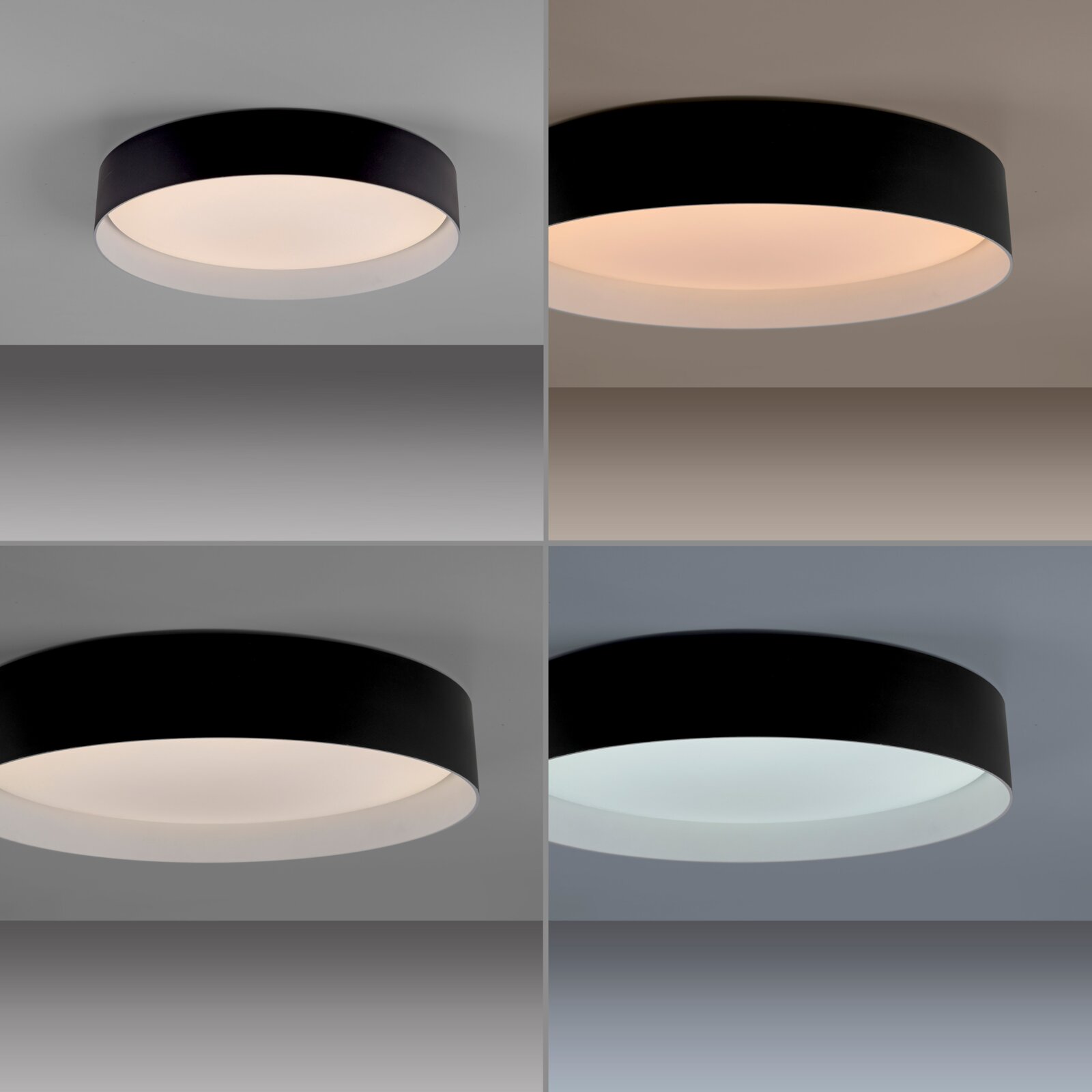 Runde, schwarze LED-Deckenleuchte mit flachem Zylindergehäuse und weißem Diffusor, leuchtend in warm- und kaltweiß, aus leicht schräger Untersicht an der Decke fotografiert.