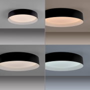 Runde, schwarze LED-Deckenleuchte mit flachem Zylindergehäuse und weißem Diffusor, leuchtend in warm- und kaltweiß, aus leicht schräger Untersicht an der Decke fotografiert.