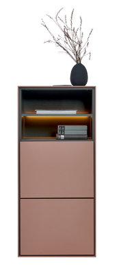 Frontansicht eines modernen, schmalen Highboards in Rosé mit schwarzem Rahmen, offenem Regalfach mit warmem LED-Licht, zwei geschlossenen Klappen und Dekovase mit Zweigen obenauf vor weißem Hintergrund