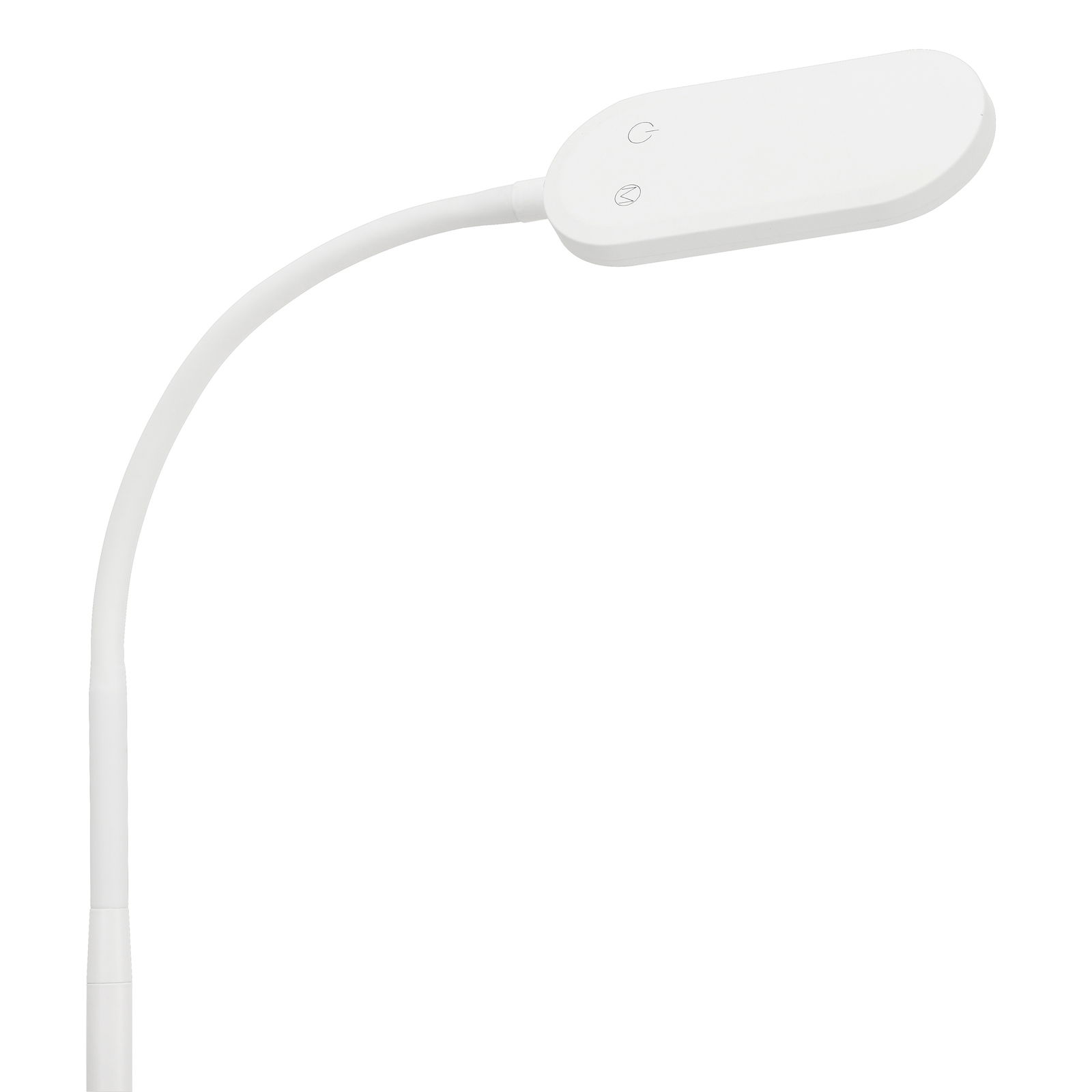 Weiße CCT LED Stehleuchte, Nahaufnahme des Lampenkopfs mit gebogenem Hals