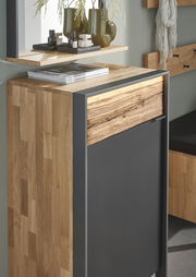 Moderner, schmaler Schuhschrank aus Holz mit dunkler Front, seitliche Perspektive