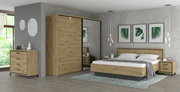 Slaapkamer met een modern ontwerp, bestaande uit een grote kledingkast met spiegeldeur, een tweepersoonsbed met houten frame en twee nachtkastjes. De afbeelding toont de kamer vanaf de zijkant, met een raam aan de linkerkant en decoratieve schilderijen aa
