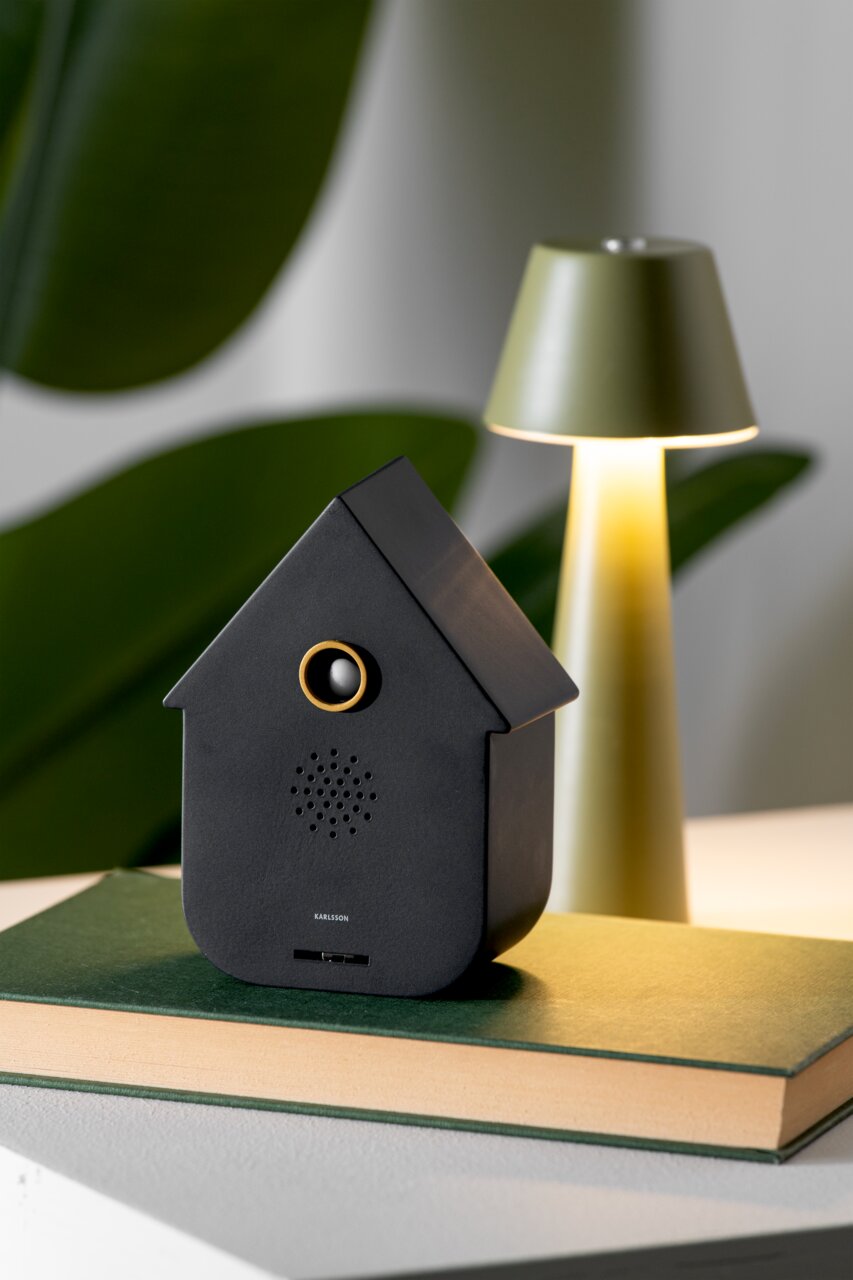 Zwarte, moderne luidsprekerkast in de vorm van een huis, die met de voorkant op een boek is geplaatst, met een lamp op de achtergrond.
