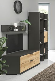 Modernes Wohnzimmer mit Wandregal in dunklem Holz, dekoriert mit Pflanzen und Kunstobjekten, seitliche Perspektive.