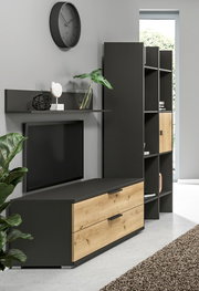 Modernes Wohnzimmer mit Wandregal in dunklem Holz, dekoriert mit Pflanzen und Kunstobjekten, seitliche Perspektive.