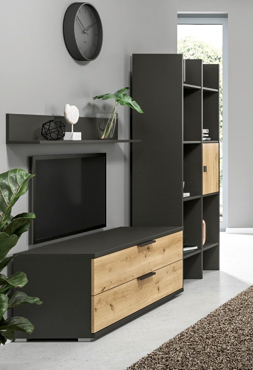 Modernes Wohnzimmer mit Wandregal in dunklem Holz, dekoriert mit Pflanzen und Kunstobjekten, seitliche Perspektive.