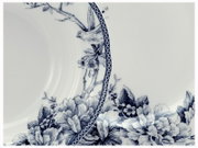 Detailaufnahme aus schräger Draufsicht: weißer Porzellanteller mit blauem Blumen- und Vogel-Dekor sowie gepunktetem Rand