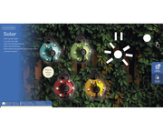 Vier bunte Solar-Insektenleuchten in Marienkäferform an einer mit Blättern bedeckten Wand, mit warmweißen LEDs, aus der Vorderansicht.