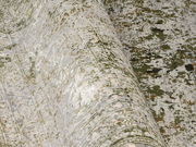 Designer Teppich in Nahaufnahme, mit einem modernen, abstrakten Muster in Grün- und Grautönen. Der Teppich ist teilweise aufgerollt, was die Textur und das Design aus einer seitlichen Perspektive zeigt.