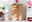Moderano Schuhschrank niedrig SHOES Moderano Schuhschrank niedrig SHOES