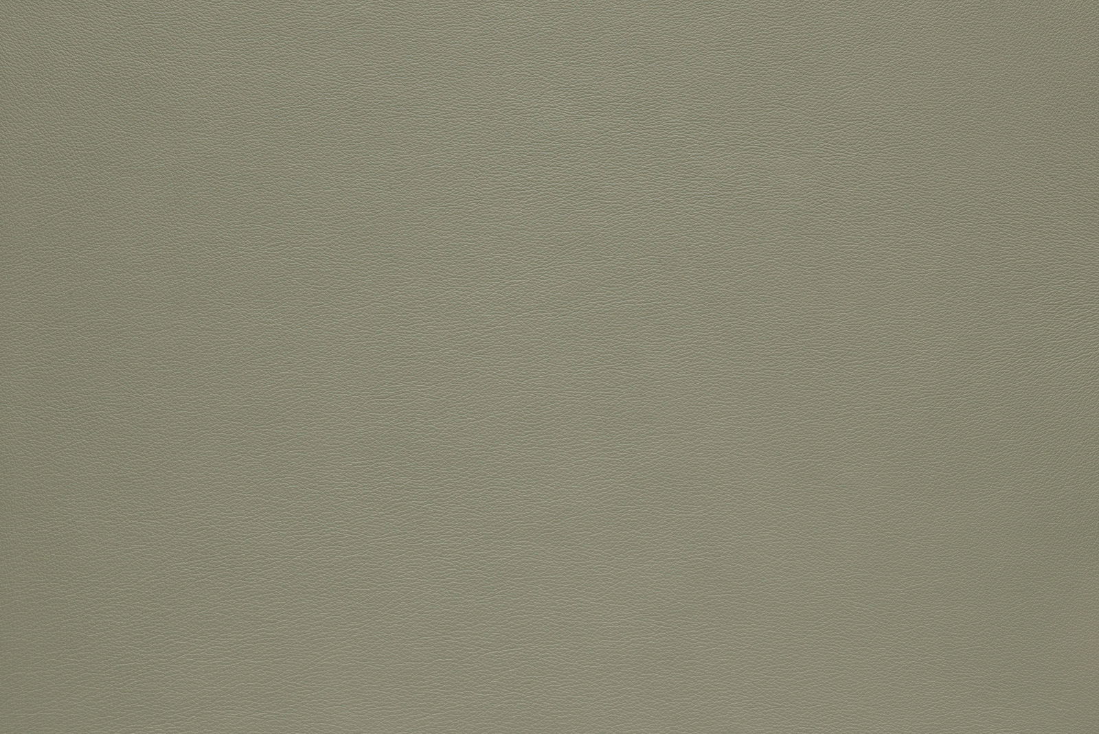 Nahaufnahme einer grünen Lederstruktur, Draufsicht