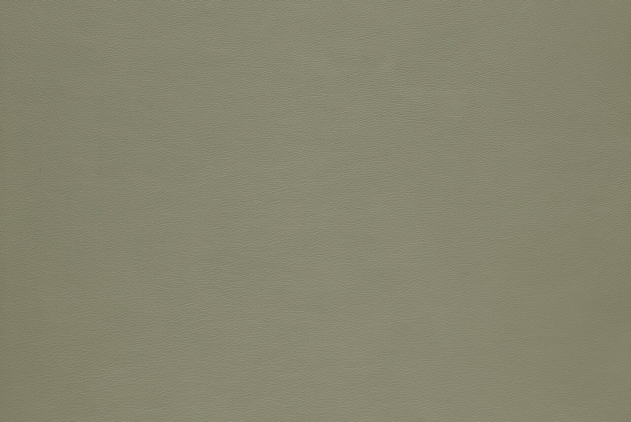 Nahaufnahme einer grünen Lederstruktur, Draufsicht