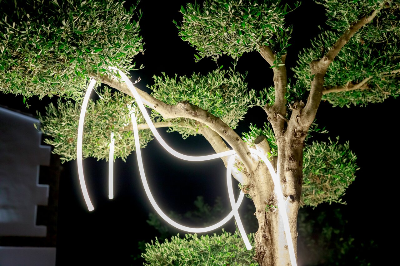 Lichterkette NEO GARLAND, die um einen Baum gewickelt ist, bei Nacht beleuchtet, aus seitlicher Perspektive