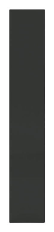 Anthrazitfarbene Tür in Frontalansicht, Maße 235x45 cm