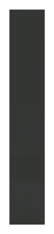 Anthrazitfarbene Tür in Frontalansicht, Maße 235x45 cm