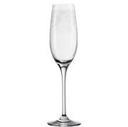 Elegantes Sektglas Chateau mit feinem Muster, frontal abgebildet.