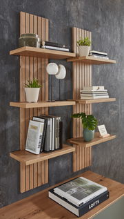 Wandpaneel mit Holzregalen, dekoriert mit Büchern und Pflanzen, seitliche Perspektive