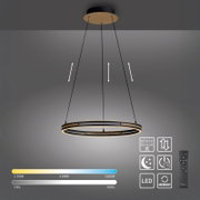 Moderne LED-Ring-Pendelleuchte in Schwarz mit warmweißem Licht, an drei höhenverstellbaren Seilabhängungen mit runder Deckenplatte in Holzoptik, Frontansicht leicht von unten
