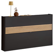 Moderner Schuhschrank in dunklem Design mit Holzstreifen, dekoriert mit Lampe und Vase, Frontalansicht
