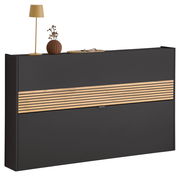 Moderner Schuhschrank in dunklem Design mit Holzstreifen, dekoriert mit Lampe und Vase, Frontalansicht