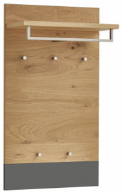 Houten kapstokpaneel met vijf haken en een plank, zijaanzicht