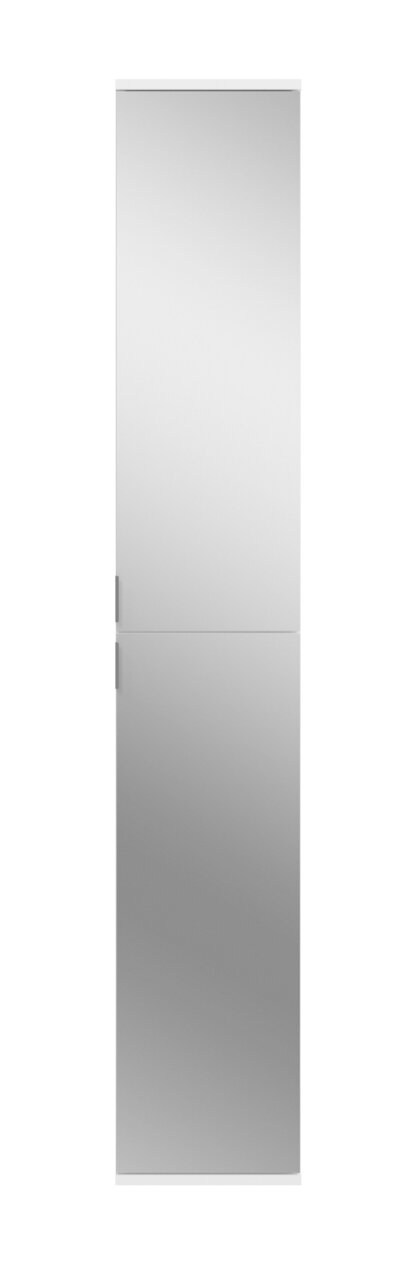 Spiegelschrank in Frontalansicht mit zwei Türen und minimalistischen Griffen.