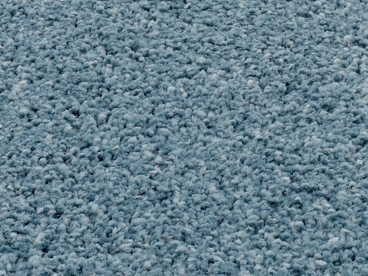 Nahaufnahme eines blauen Uni-Teppichs mit flauschiger Textur, von oben betrachtet.