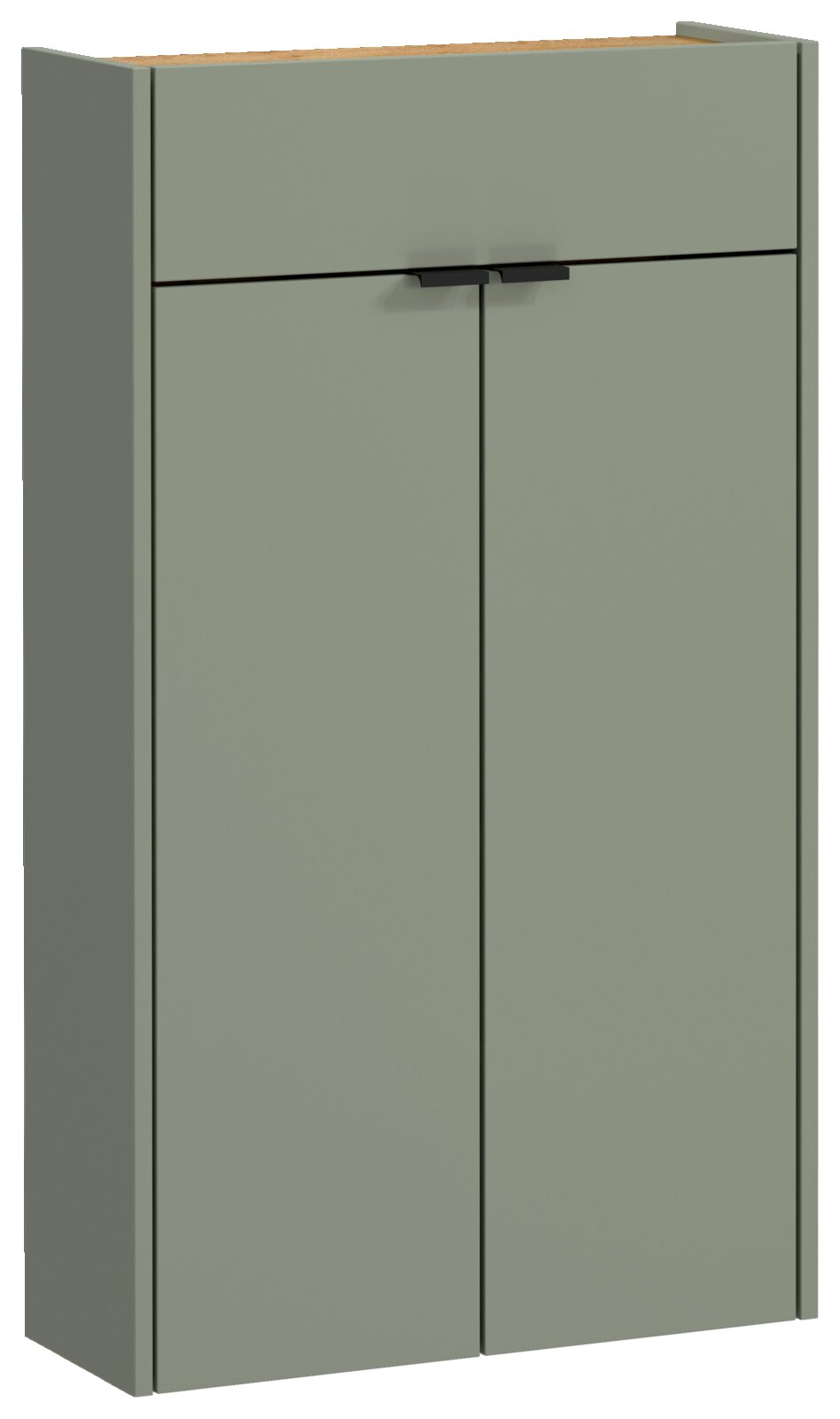 MID.YOU Hängeschuhschrank AMECA Grüner Hängeschuhschrank mit zwei Türen und einer Schublade, Frontalansicht