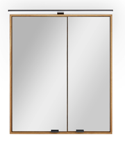 Moderner Spiegelschrank mit Holzrahmen und integrierter Beleuchtung, Frontalansicht