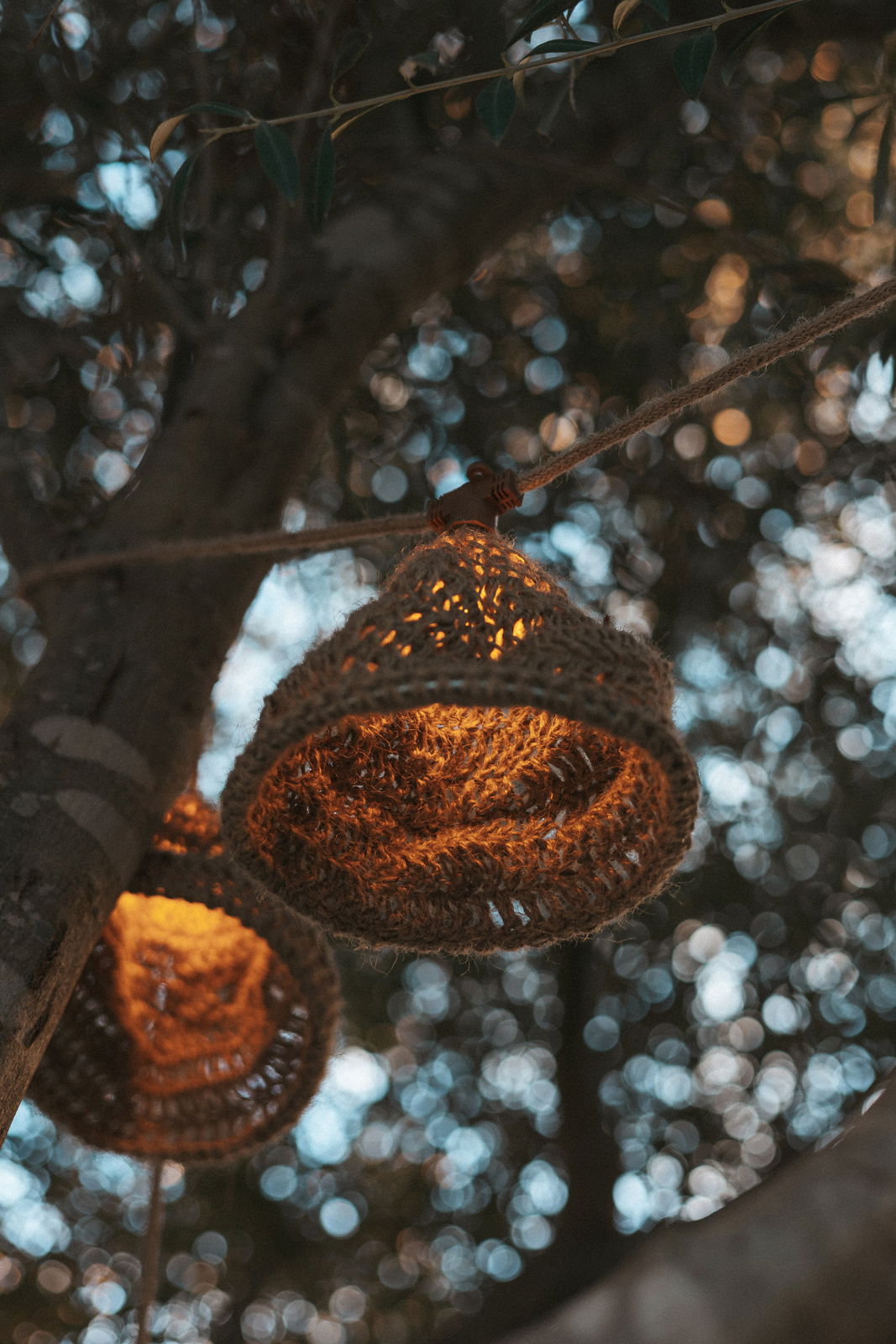 Nahaufnahme einer Outdoor-Lichterkette mit solarbetriebenen, geflochtenen Lampenschirmen, die an einem Baum hängen und warmes Licht ausstrahlen.