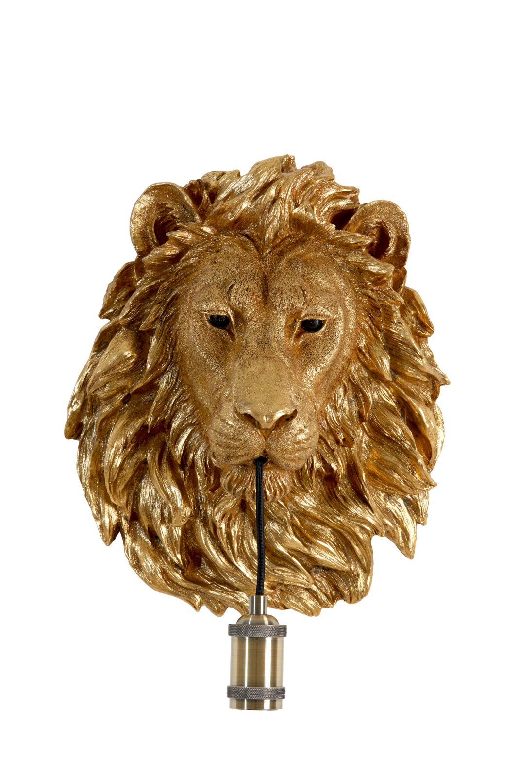 Goldene Wandleuchte in Form eines Löwenkopfes, frontal betrachtet.