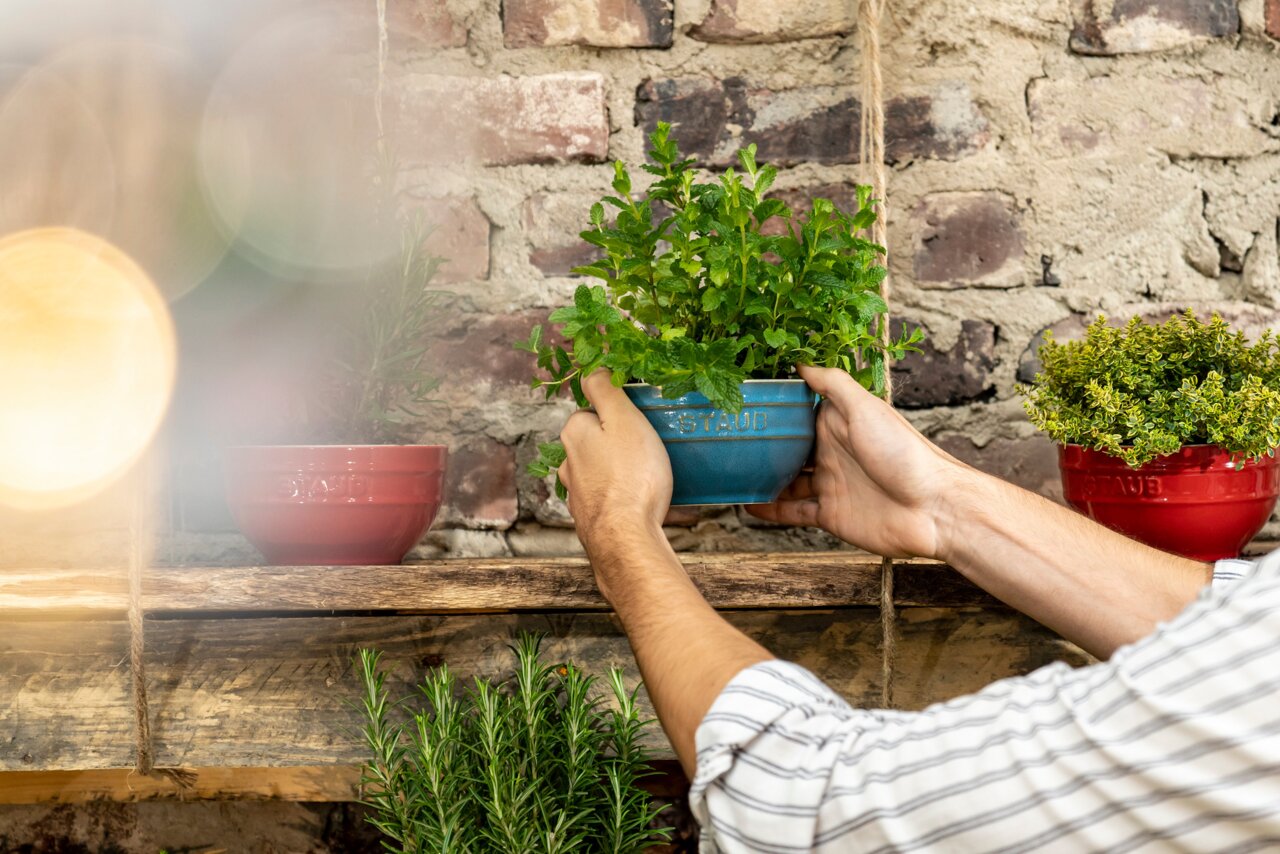Person stellt eine türkisfarbene Schüssel mit frischen Kräutern auf ein Holzregal, umgeben von weiteren Schüsseln vor einer Ziegelwand. Perspektive von der Seite.