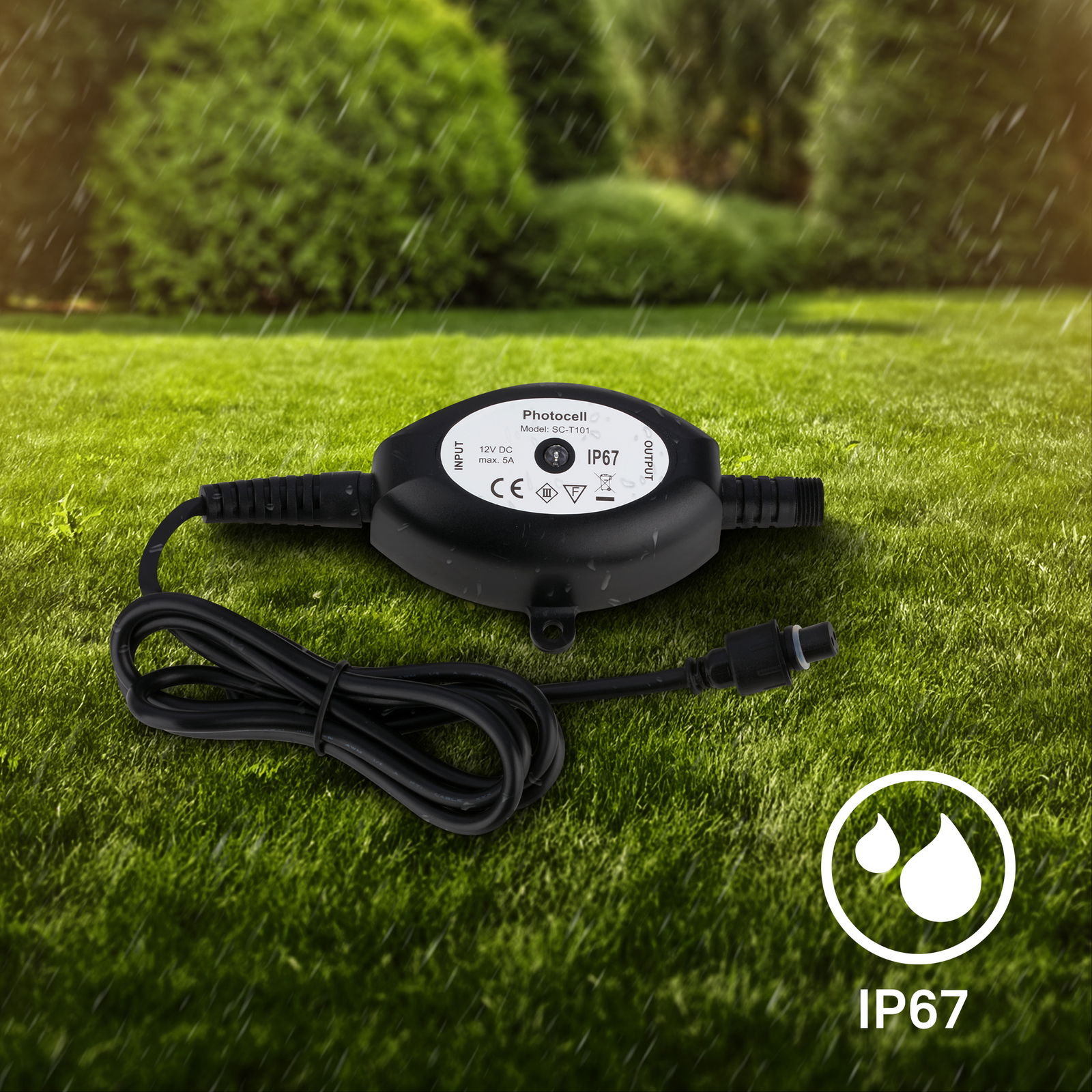 Dämmerungssensor mit IP67-Schutz, liegend auf einer Wiese, mit Kabel und Stecker, bei Regenwetter.