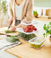 Kühlschrankorganizer 4-teilig, gefüllt mit frischem Gemüse und Obst, auf einer Küchenarbeitsplatte, seitliche Perspektive