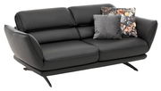 Modernes, dunkelgraues 2,5-Sitzer-Sofa mit eleganten Metallfüßen, dekoriert mit zwei Kissen, aus seitlicher Perspektive.