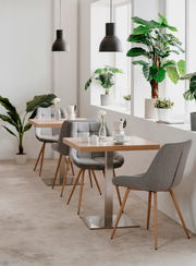 Moderner Esstisch mit quadratischer Holzplatte und Metallfuß, umgeben von grauen Polsterstühlen in einem hellen Raum mit Pflanzen, seitliche Perspektive.