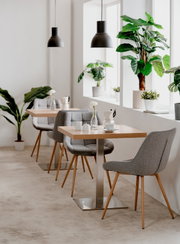 Moderner Esstisch mit quadratischer Holzplatte und Metallfuß, umgeben von grauen Polsterstühlen in einem hellen Raum mit Pflanzen, seitliche Perspektive.