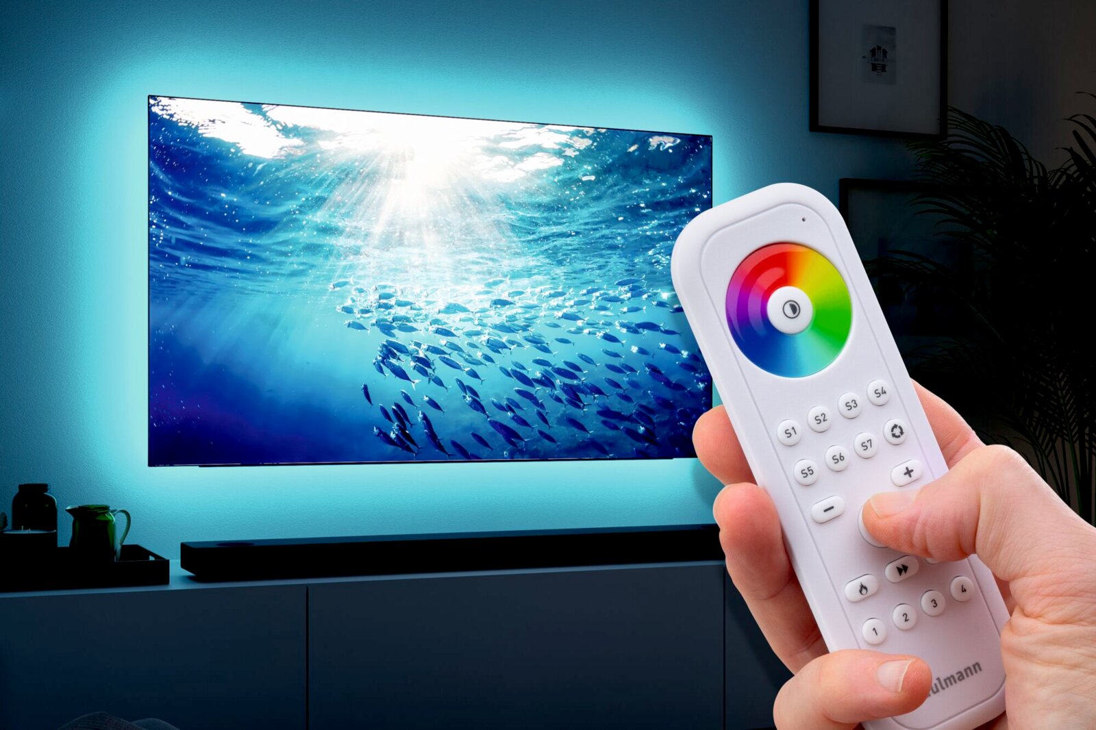 Close-up van een hand die een afstandsbediening met een kleurencirkel en knoppen vasthoudt; op de achtergrond een televisie met een onderwaterbeeld en blauwe achtergrondverlichting.