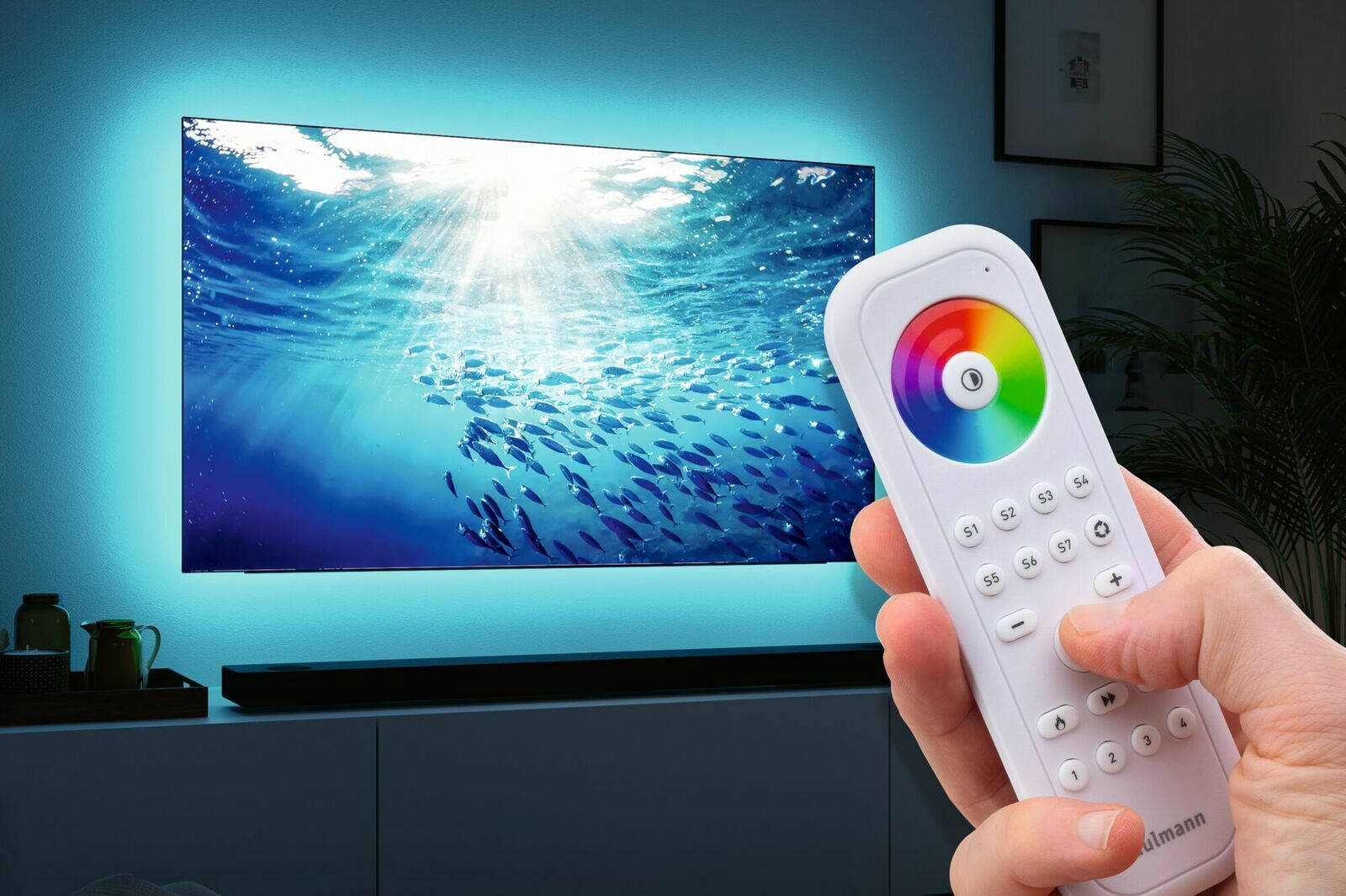 Nahaufnahme einer Hand, die eine Fernbedienung mit Farbkreis und Tasten hält, im Hintergrund ein Fernseher mit Unterwasserbild und blauer Hintergrundbeleuchtung.