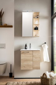 Moderner Spiegelschrank mit Holzregalen in einem stilvollen Badezimmer, Frontalansicht