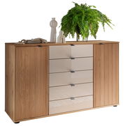 Kombikommode aus Holz mit fünf Schubladen in der Mitte und zwei Türen an den Seiten, dekoriert mit Pflanzen und Vasen, Perspektive von vorne.