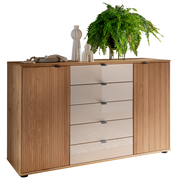 Kombikommode aus Holz mit fünf Schubladen in der Mitte und zwei Türen an den Seiten, dekoriert mit Pflanzen und Vasen, Perspektive von vorne.