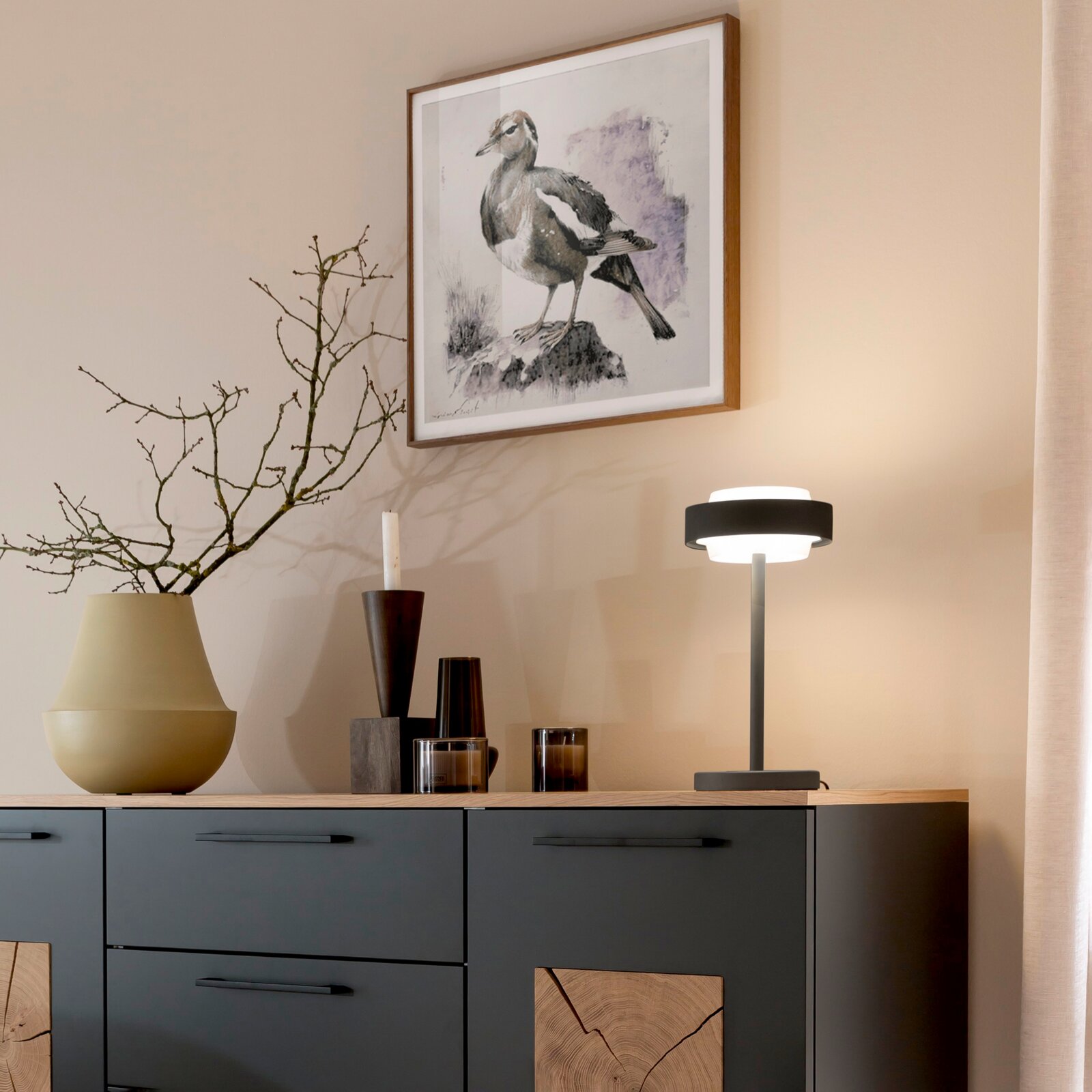 Modernes Sideboard mit Dekoration und eingeschalteter Tischleuchte vor beiger Wand, darüber gerahmtes Vogelbild; Ansicht frontal mit leichtem Blick von links.